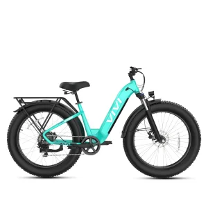 VIVI Electric Bikes